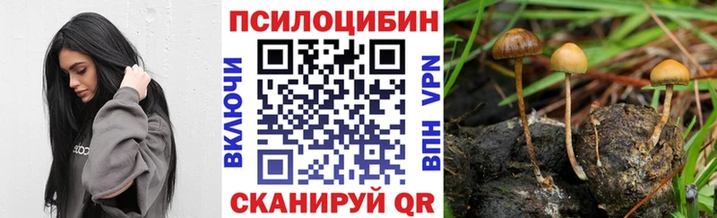 Галлюциногенные грибы Psilocybine cubensis  KRAKEN ссылка  Руза 